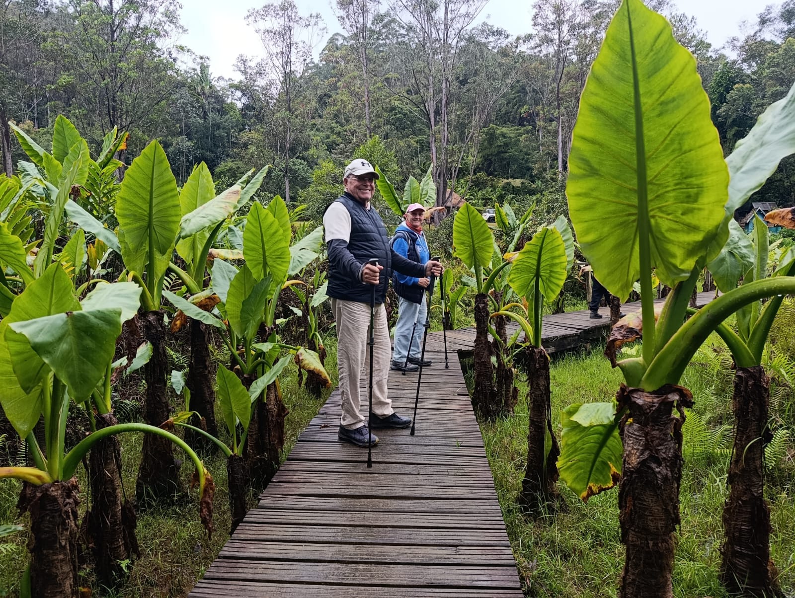 Canal des Pangalanes